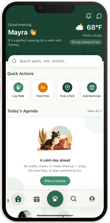 Pawdo app overview